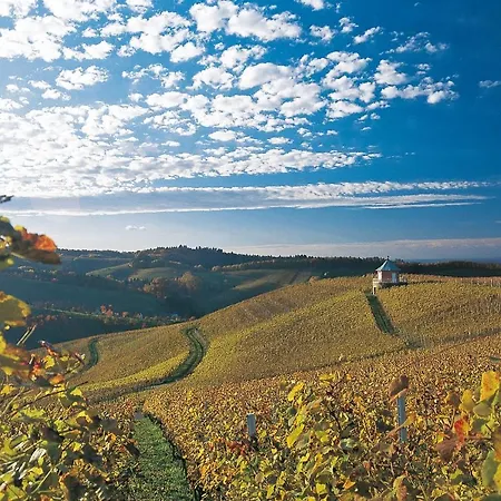 Rebstock Waldulm 3* Kappelrodeck