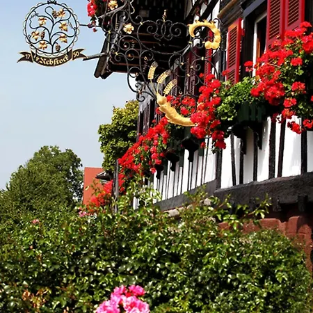 Rebstock Waldulm Guest house