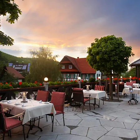 Rebstock Waldulm 3* Kappelrodeck